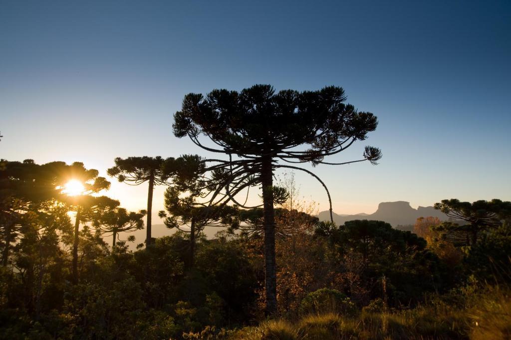 Hotel Frontenac Campos do Jordão Exteriér fotografie